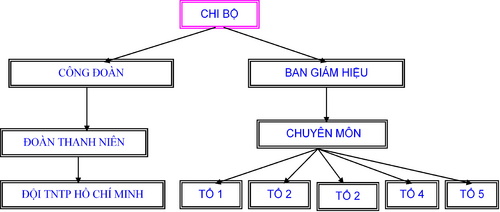  Cơ cấu tổ chức